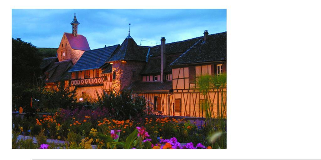 Chambres D'Hotes Du Vignoble Riquewihr Exterior foto